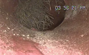 Camera Pipe Inspection with significant root intrusion