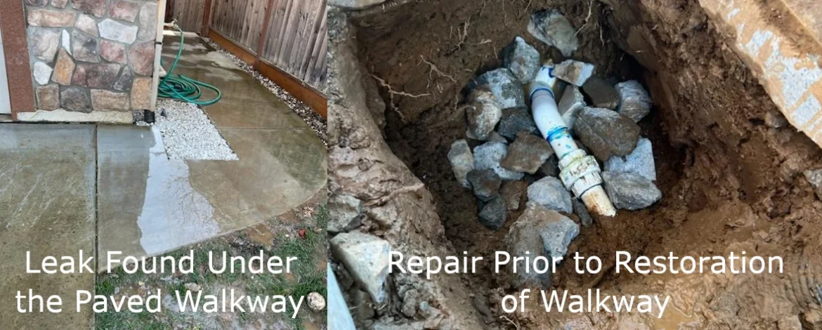 Water Leak and Repair