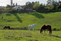 City-Specific Resources: Los Altos Hills, California 1 Westwind Community Barn, Los Altos Hills. Image credit: Wikipedia, CC BY-SA 4.0
